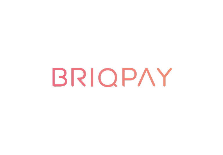 briqpay---commercetools.png